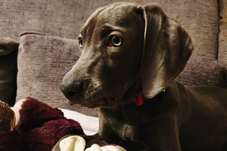 C55d9f70 5041 47b0 b31a d3b07d577a63